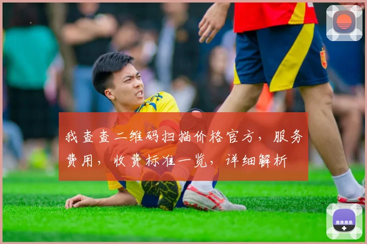 我查查二维码扫描价格官方，服务费用，收费标准一览，详细解析