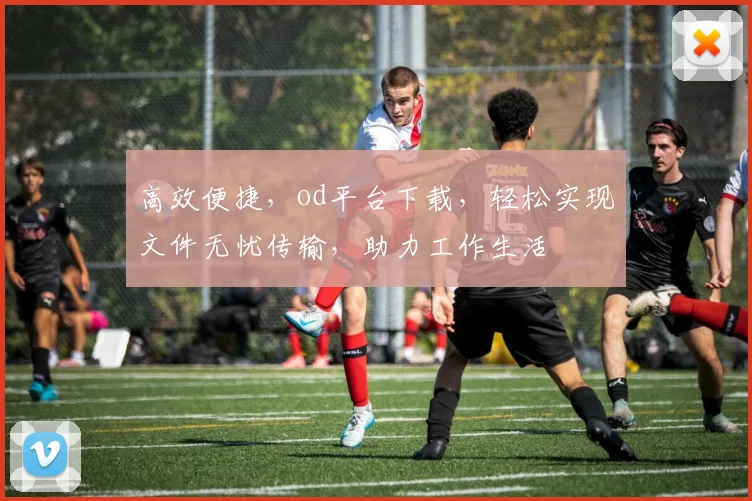 高效便捷，od平台下载，轻松实现文件无忧传输，助力工作生活